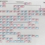 Peut-on Déshériter Un Petit-fils Par Testament Selon La Loi arbre-genealogique-avec-des-descendants-flous