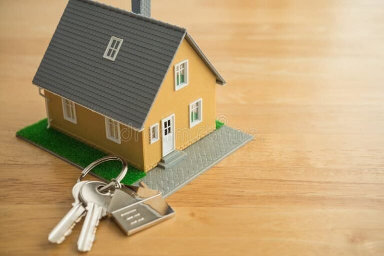 Quel Statut Choisir Pour Devenir Loueur Meublé Professionnel