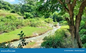 course deau claire avec paysage naturel vert