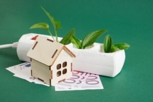 maison ecologique avec feuilles et pieces deuros